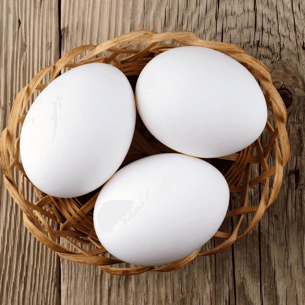 /assets/images/restaurants/chefsterrace/img_chefsterrace07.png